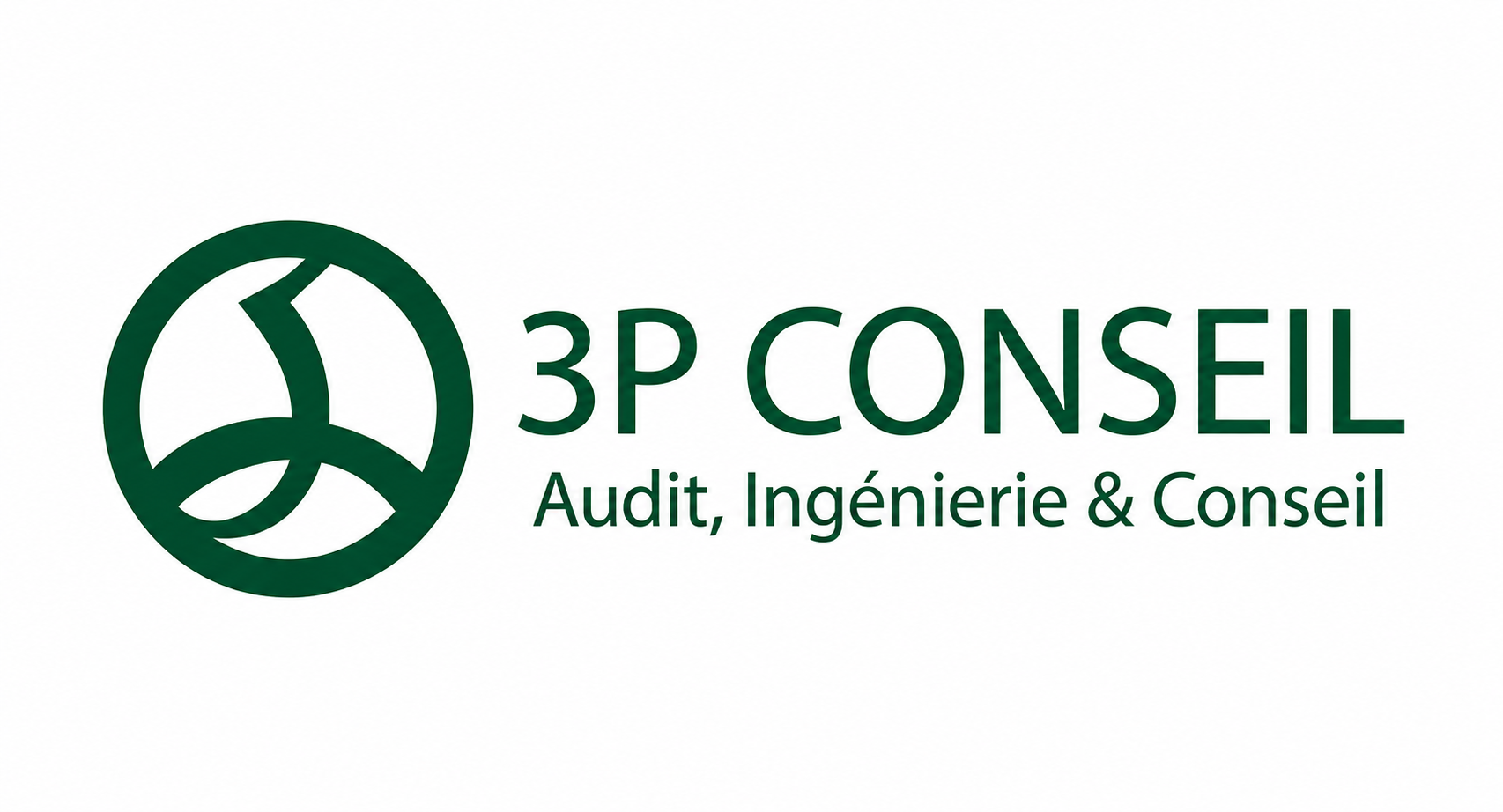 3P Conseil